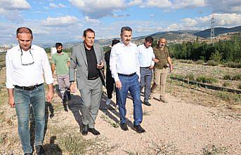 Tokat Havalimanı çevresinde lavanta bahçeleri oluşturulacak