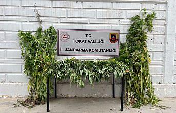 Tokat'ta uyuşturucu operasyonunda 1 kişi gözaltına alındı