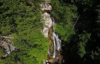 Yeşilin tonları arasındaki şelale: Kızılcasu