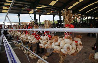 34. Uluslararası Taşköprü Kültür ve Sarımsak Festivali