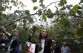 AK Partili Karaaslan, Samsun'da fındık üreticileriyle buluştu: