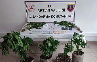 Artvin'deki uyuşturucu operasyonunda 3 kişi tutuklandı