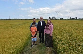 CHP Genel Başkanı Kılıçdaroğlu çeltik tarlasında çiftçilerle buluştu