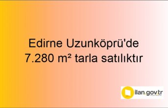 Edirne Uzunköprü'de 7.280 m² tarla mahkemeden satılıktır