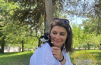 İyileştirdiği karga yalnız kalmasın diye mesaiye getiriyor