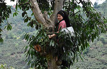 Karadenizli kadınlar tescilli lezzet 