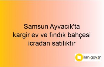 Samsun Ayvacık'ta kargir ev ve fındık bahçesi icradan satılıktır