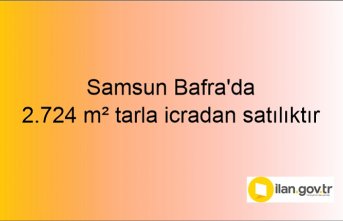 Samsun Bafra'da 2.724 m² tarla icradan satılıktır