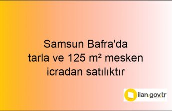 Samsun Bafra'da tarla ve 125 m² mesken icradan satılıktır