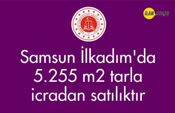 Samsun İlkadım'da 5.255 m² tarla icradan satılıktır