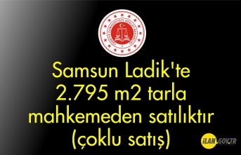 Samsun Ladik'te 2.795 m² tarla mahkemeden satılıktır (çoklu satış)