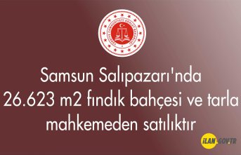 Samsun Salıpazarı'nda 26.623 m² fındık bahçesi ve tarla mahkemeden satılıktır
