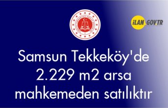 Samsun Tekkeköy'de 2.229 m² arsa mahkemeden satılıktır