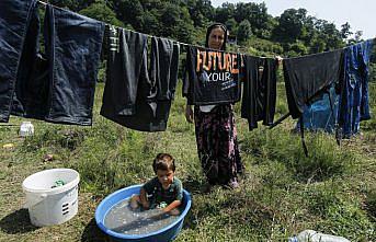 Samsun'da mevsimlik tarım işçilerinin fındık hasadı mesaisi sürüyor