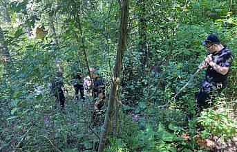 Sinop'ta ormanlık alanda erkek cesedi bulundu