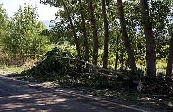 Tokat'ta fırtına, dolu ve sağanak ekili alanlara zarar verdi