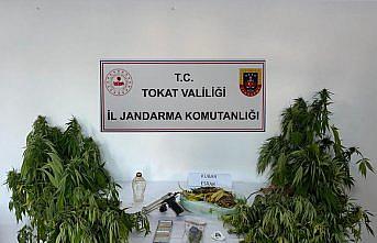 Tokat'ta uyuşturucu operasyonunda 1 kişi yakalandı