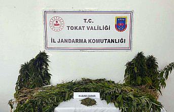 Tokat'ta uyuşturucu operasyonunda yakalanan kişi tutuklandı