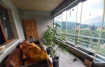 Trabzon'daki uyuşturucu operasyonunda 1 kişi gözaltına alındı