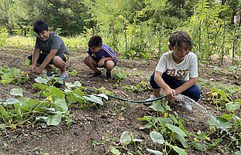 Yaz kampında hem robotik kodlama hem de sebze yetiştirmeyi öğreniyorlar
