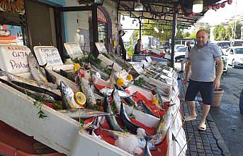 Zonguldak'ta sezonun ilk palamutlarının bolluğu balıkçıları umutlandırdı