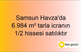 Samsun Havza'da 6.984 m² tarla icranın 1/2 hissesi satılıktır