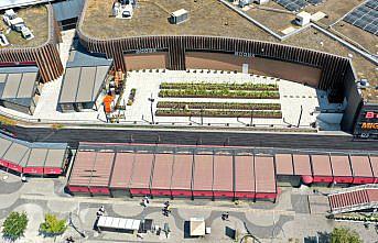 Alışveriş merkezinden çıkan atıkları gübre yapıp sebze yetiştiriyorlar