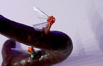 ASELSAN'ın “böcek İHA'sı“ TEKNOFEST KARADENİZ'de kanatlandı