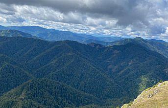 Ayıkayası Tabiat Parkı'nda inceleme yapıldı