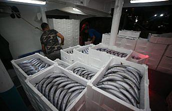 Batı Karadeniz'de palamut, balıkçıların yüzünü güldürdü