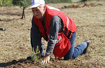 Düzce'de huzurevi sakinleri fidan dikti