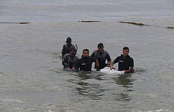 GÜNCELLEME - Trabzon'da denizde kaybolan gencin cansız bedenine ulaşıldı
