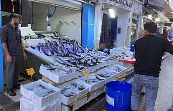 Karadeniz'de avlanan 1 kilogramlık palamutlar 35 liradan alıcı buluyor