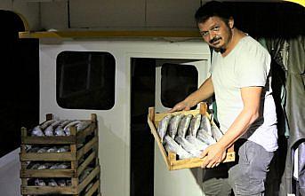 Karadeniz'de uzatma ağları palamutla doldu