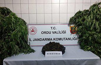Ordu'da uyuşturucu operasyonunda 1 kişi yakalandı