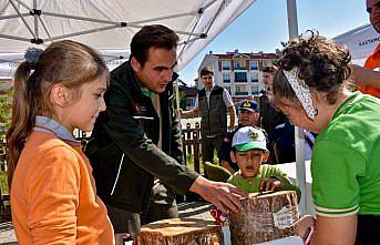 Orman Genel Müdürlüğünün 