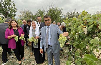 Safranbolu'da tescilli 
