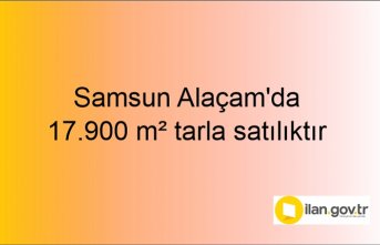 Samsun Alaçam'da 17.900 m² tarla (1/4 hissesi) icradan satılıktır