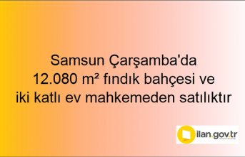 Samsun Çarşamba'da 12.080 m² fındık bahçesi ve iki katlı ev mahkemeden satılıktır