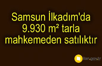Samsun İlkadım'da 9.930 m² tarla mahkemeden satılıktır