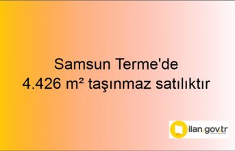 Samsun Terme'de 4.426 m² taşınmaz mahkemeden satılıktır