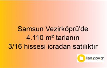Samsun Vezirköprü'de 4.110 m² tarlanın 3/16 hissesi icradan satılıktır