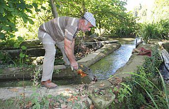 Tarihi değirmenin taşları 150 yıldır dönüyor
