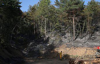 Tokat'ta çıkan orman yangını kontrol altına alındı