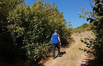 Tokat'ta kaybolan yaşlı adamın bulunması için çalışma yürütülüyor