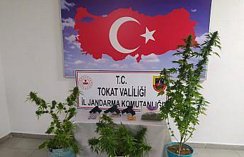 Tokat'ta uyuşturucu operasyonunda 2 kişi yakalandı
