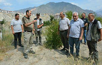 Yusufeli'nin yeni yerleşim yerinde 300 dekarlık alan ağaçlandırıldı