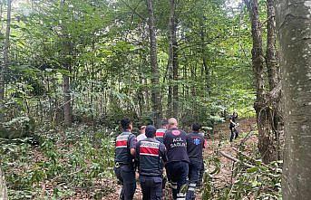 Zonguldak'ta kestiği ağacın altında kalan kişi yaralandı