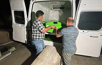 Zonguldak'ta köpeklerin saldırısı sonucu ölen yaşlı kadın defnedildi