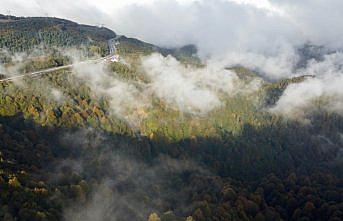 Bolu Dağı'nda sis etkili oluyor